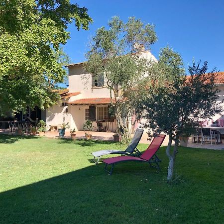 Mas Du Pont De Laute Villa Le Cailar Dış mekan fotoğraf