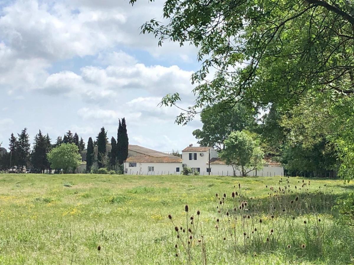 Mas Du Pont De Laute Villa Le Cailar Dış mekan fotoğraf